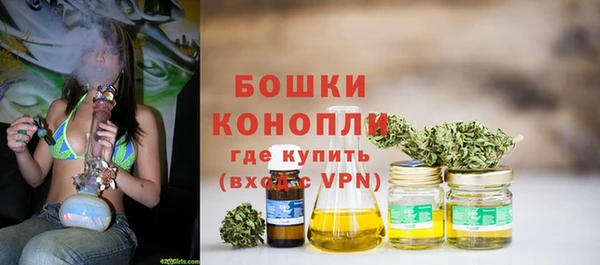 мдпв Вяземский