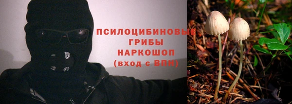 соль ск Вязьма