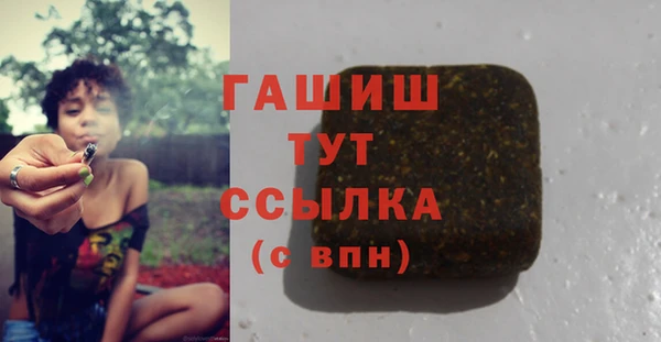 мдпв Вяземский