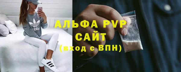 мдпв Вяземский