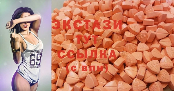 мдпв Вяземский