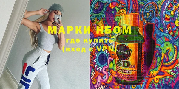 мдпв Вяземский
