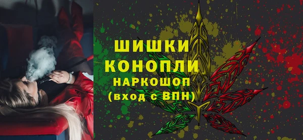 мдпв Вяземский