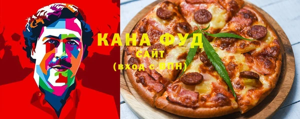мдпв Вяземский