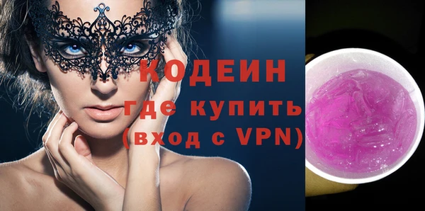 мдпв Вяземский