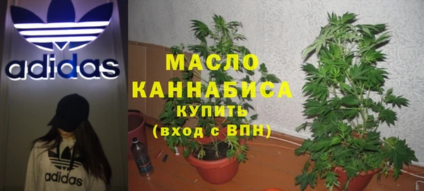 мдпв Вяземский