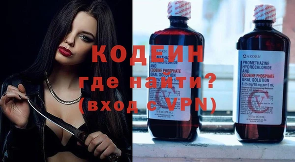 мдпв Вяземский