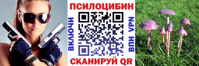Купить где  Бор  Галлюциногенные грибы мицелий 